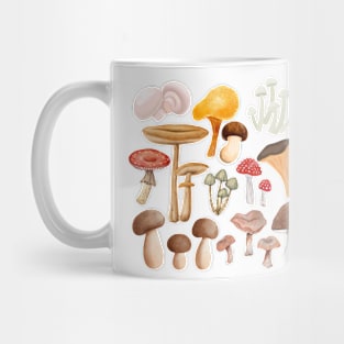 Mushroom multy kind of mushrooms Mug